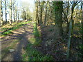 Footpath joins farm track