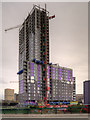 SJ8399 : High Rise Construction at Greengate by David Dixon