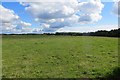 Pasture, South Fergushill