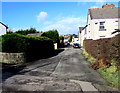 Contrasting hedges in winter, Factory Road, Brynmawr