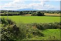 Fields, Benslie