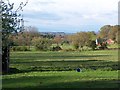 View across fields on edge of Nomansland