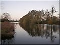 TQ1478 : The lake, Osterley Park, in early February by Stefan Czapski