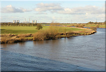 SK8379 : River Trent by Richard Croft