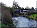 Afon Twrch at Llanuwchllyn