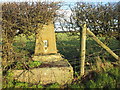 Kilton Forest Farm trig point