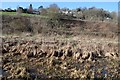 Silted Thames and Severn Canal