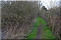 Roadside path at Bemerton