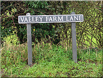 TG2403 : Valley Farm Lane (road sign) by Evelyn Simak