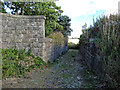 Remains of railway underbridge Tillynaught Station