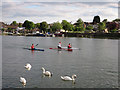 Canoeist and kayakers on the Itchen