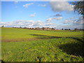 Across the fields to Lowdham Grange