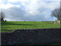 Grazing, Skipsea Brough