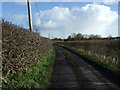 TA1555 : Lane near Dringhoe Manor Farm by JThomas