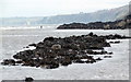 The SE fish trap in Fishguard Bay (6)