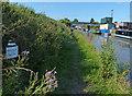 Trent & Mersey Canal Milepost along the towpath