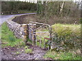 Glanrhyd Chapel - gate into Baptism area