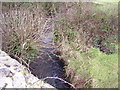 River by Glanrhyd Chapel