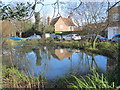 Ickenham village pond