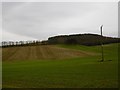 Farmland, Newton