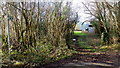 Footpath and Dutch barn