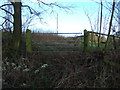 Disused field entrance off Watson