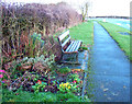 Floral bench on path beside Butts Hill, Reighton