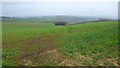 Herefordshire farmland