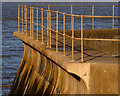 River Defences Fence at Paull