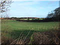 Grazing north of Sands Road