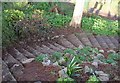 Steps, Homeyards Botanical Gardens, Shaldon