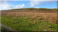 Bryngwyn Hill (466m)