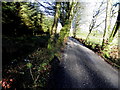 A frosty morning at Loughmuck