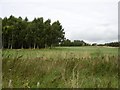 Strathmore Golf Centre