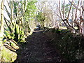 Llwybr Durclawdd Fawr Path