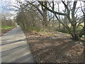 Waterfall Walk in Brunswick Park