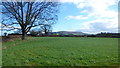 Farmland and bridleway