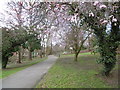 Waterfall Walk in Brunswick Park