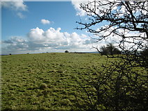 ST8510 : Hod Hill, site of Roman fort by Mike Faherty