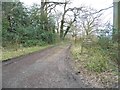 Track to Church Wood, Leith Hill