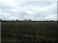 TQ8092 : Fields off Lubards Lodge Perimeter Bridleway by Geographer