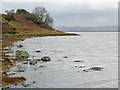 NH6263 : Shore of Cromarty Firth below Toberchurn by Julian Paren