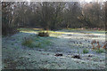 SU8360 : Pond, Darby Green by Alan Hunt