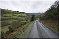 Forestry track into Cwm Hirnant