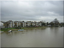 TQ1568 : Riverbank, from Hampton Court Bridge by Christopher Hilton