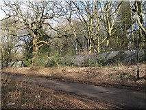 SP3476 : A security fence through woodland, Whitley, Coventry by Robin Stott