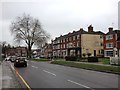 East Cross, Tenterden