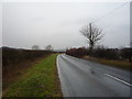 TA1176 : Bridlington Road near Hallamfield by JThomas