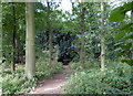 Path through woodland at Purley Park