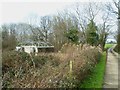 Derelict structure by footpath